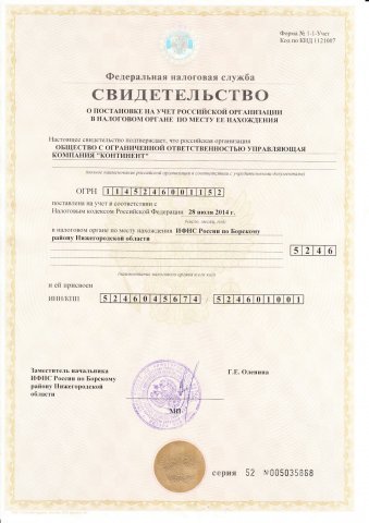 Свидетельство ФНС